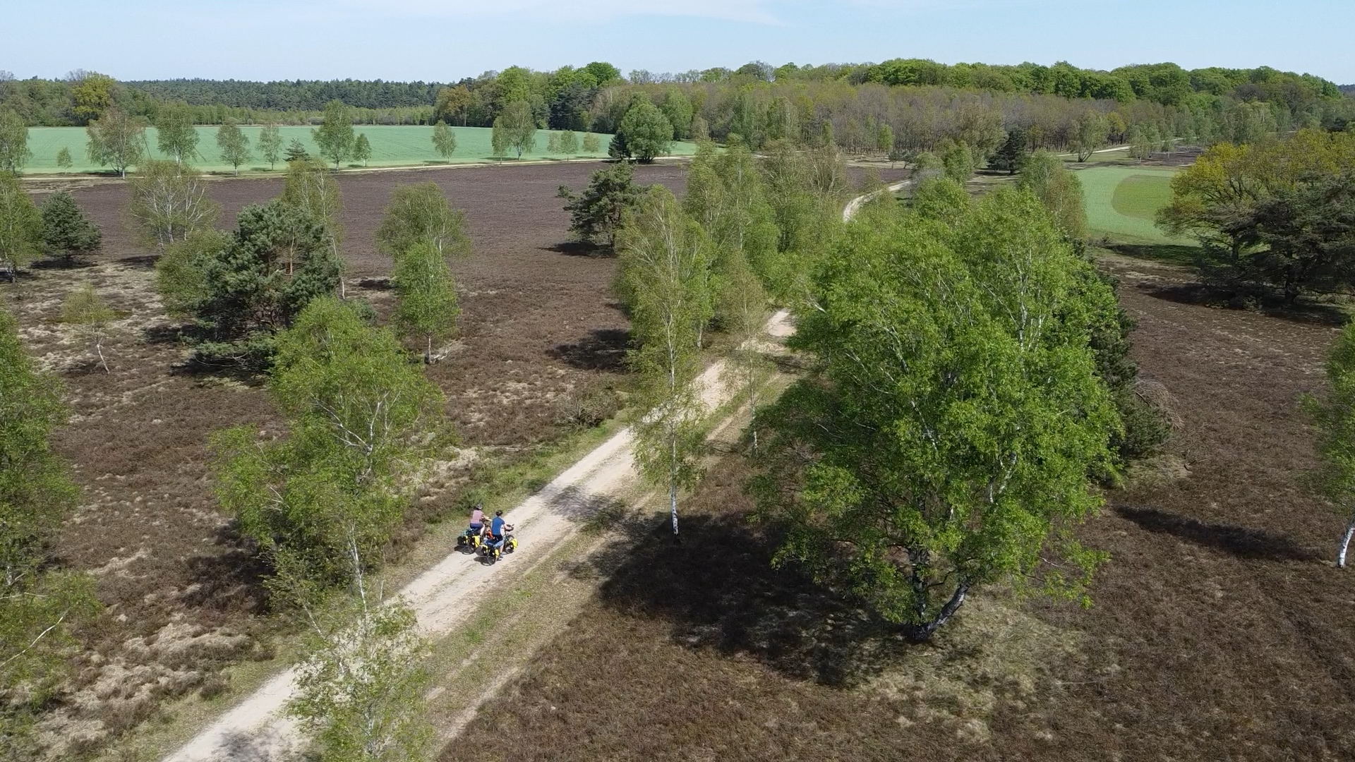 Lüneburger Heide – Natur pur