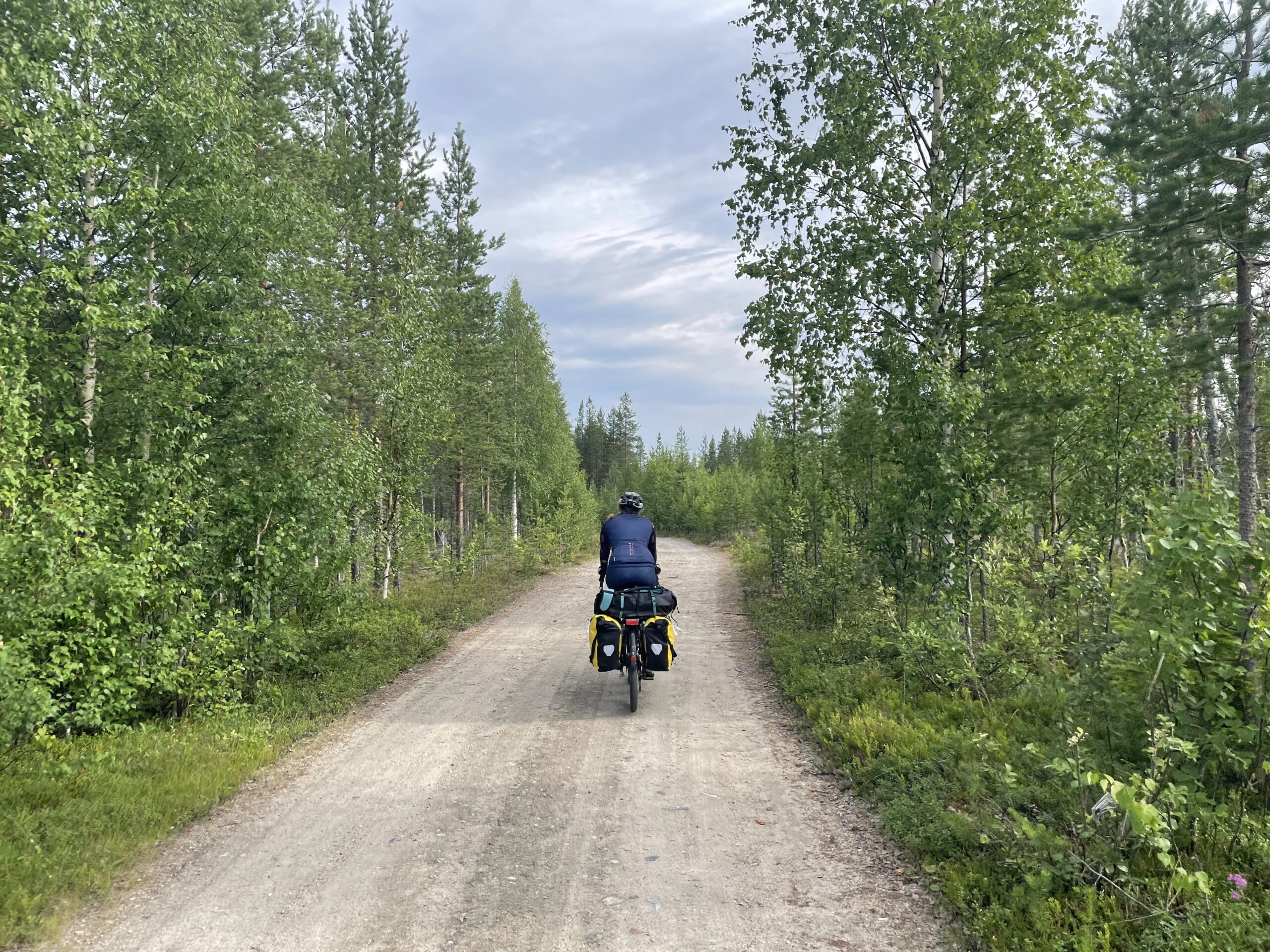 Lappland – Abstecher in die “Wildnis”